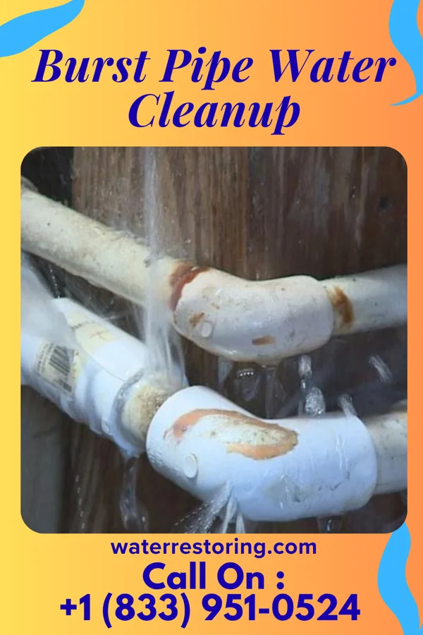 Burst Pipe Water Cleanup in Highmore, SD