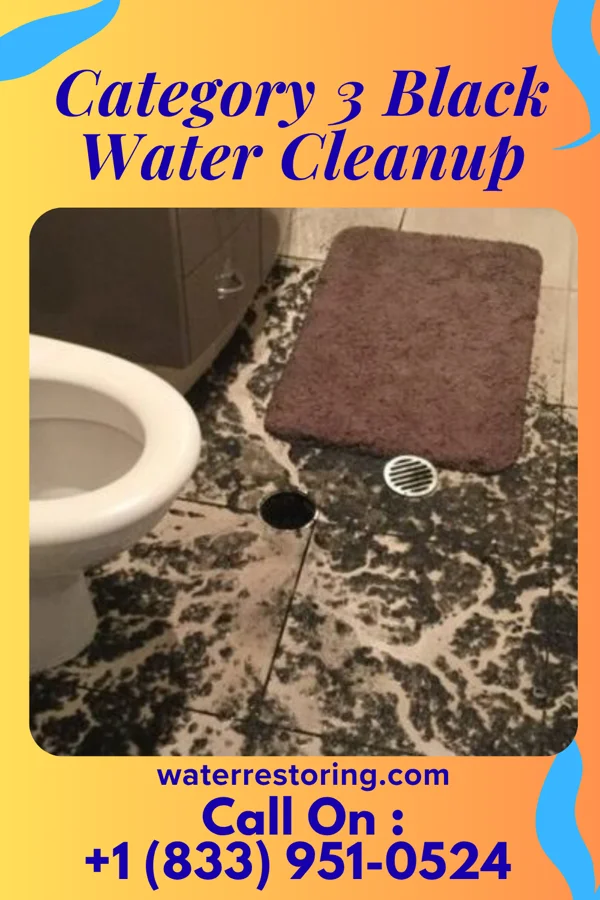 Category 3 Black Water Cleanup in Highmore, SD