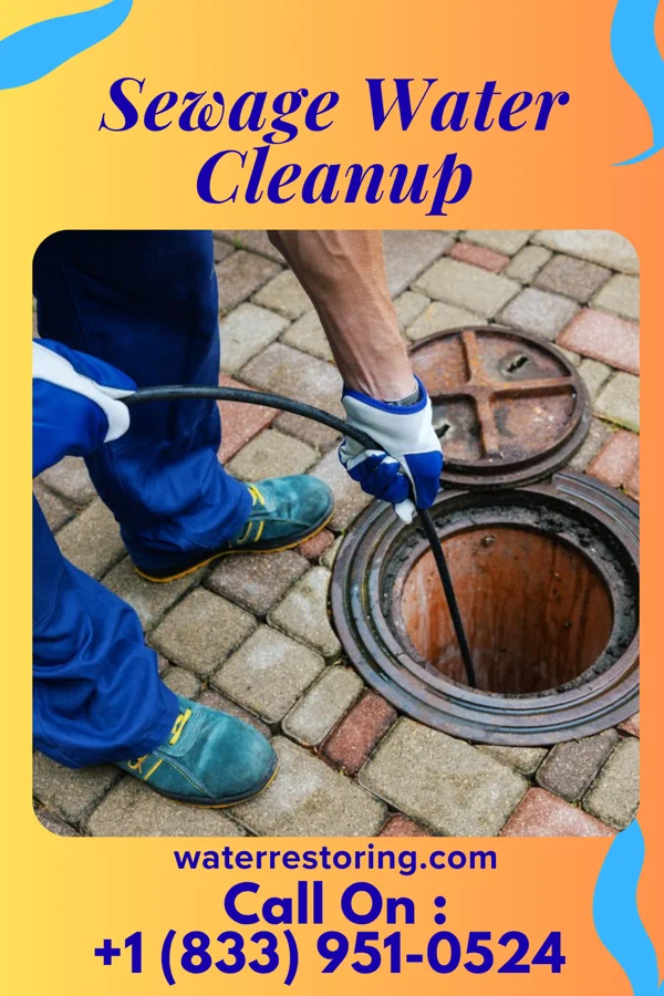Sewage Water Cleanup in Highmore, SD